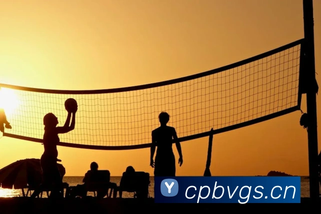 kaiyun官方网站入口平台生态图